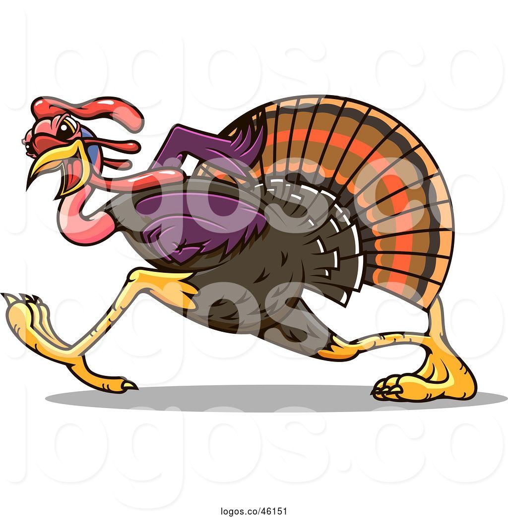 1024x1044 Logo Of Cartoon Running Gobbler Turkey Bird