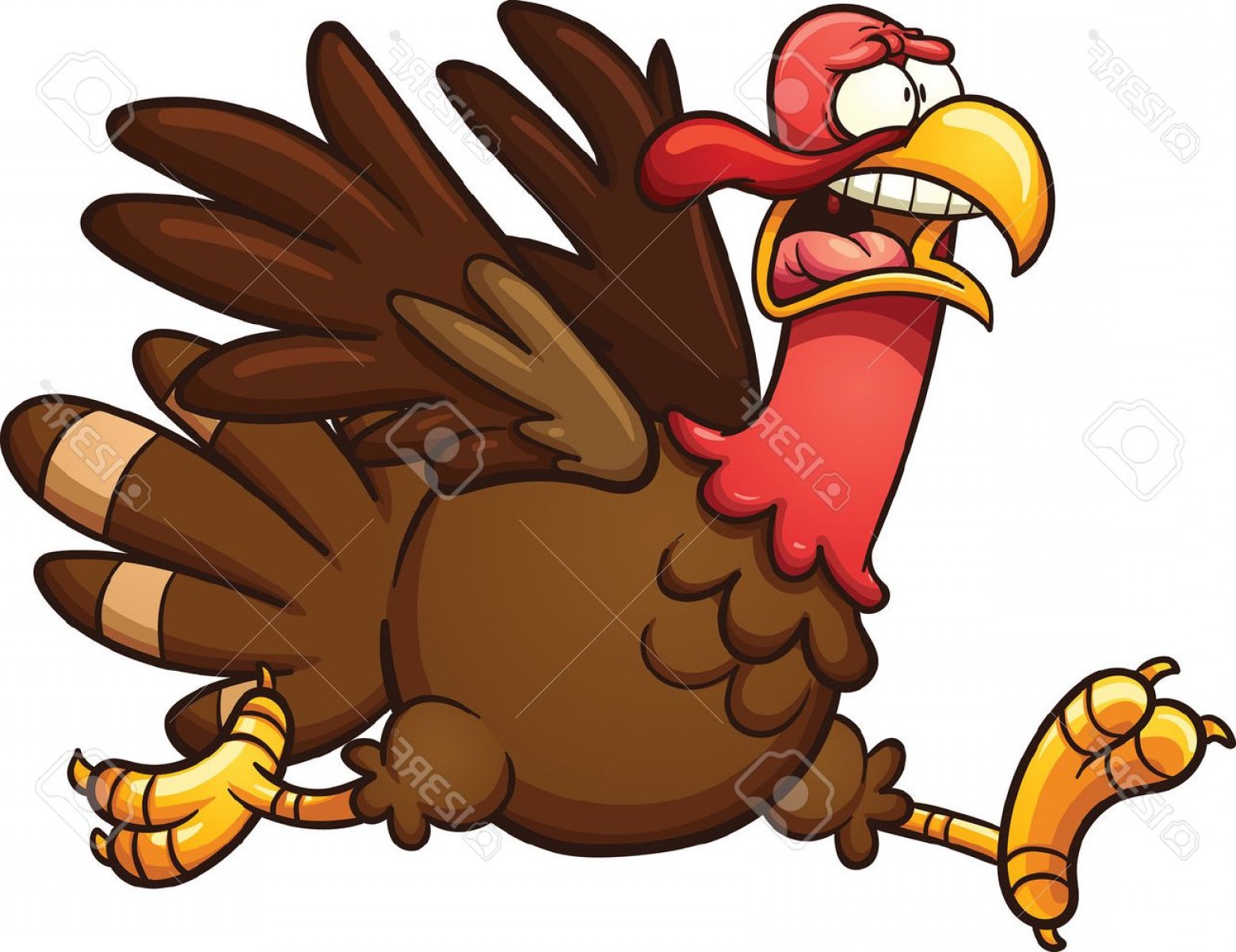 1560x1202 Photostock Vector Scared Cartoon Turkey Vector Clip Art