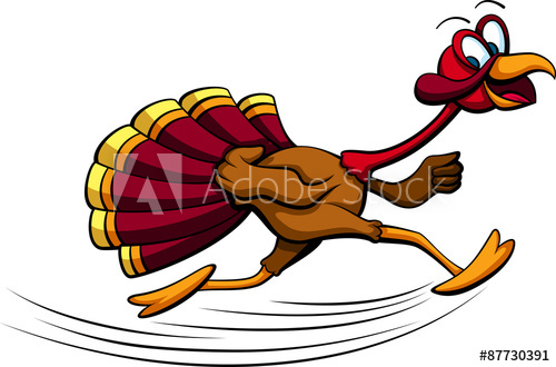 500x330 Thanksgiving Turkey Running