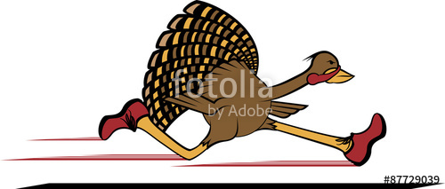 500x213 Turkey Running With Red Shoes Stock Image And Royalty Free Vector