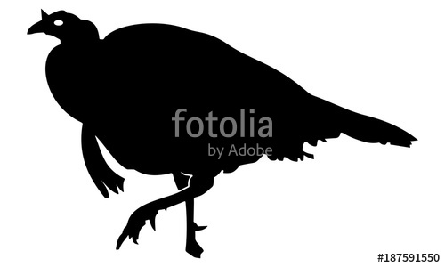 500x300 Running Turkey Silhouette Stock Image And Royalty Free Vector