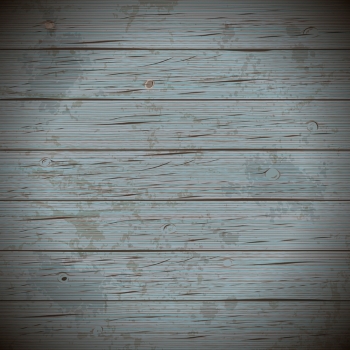 Image Details Iss 350x350 Image Details Iss