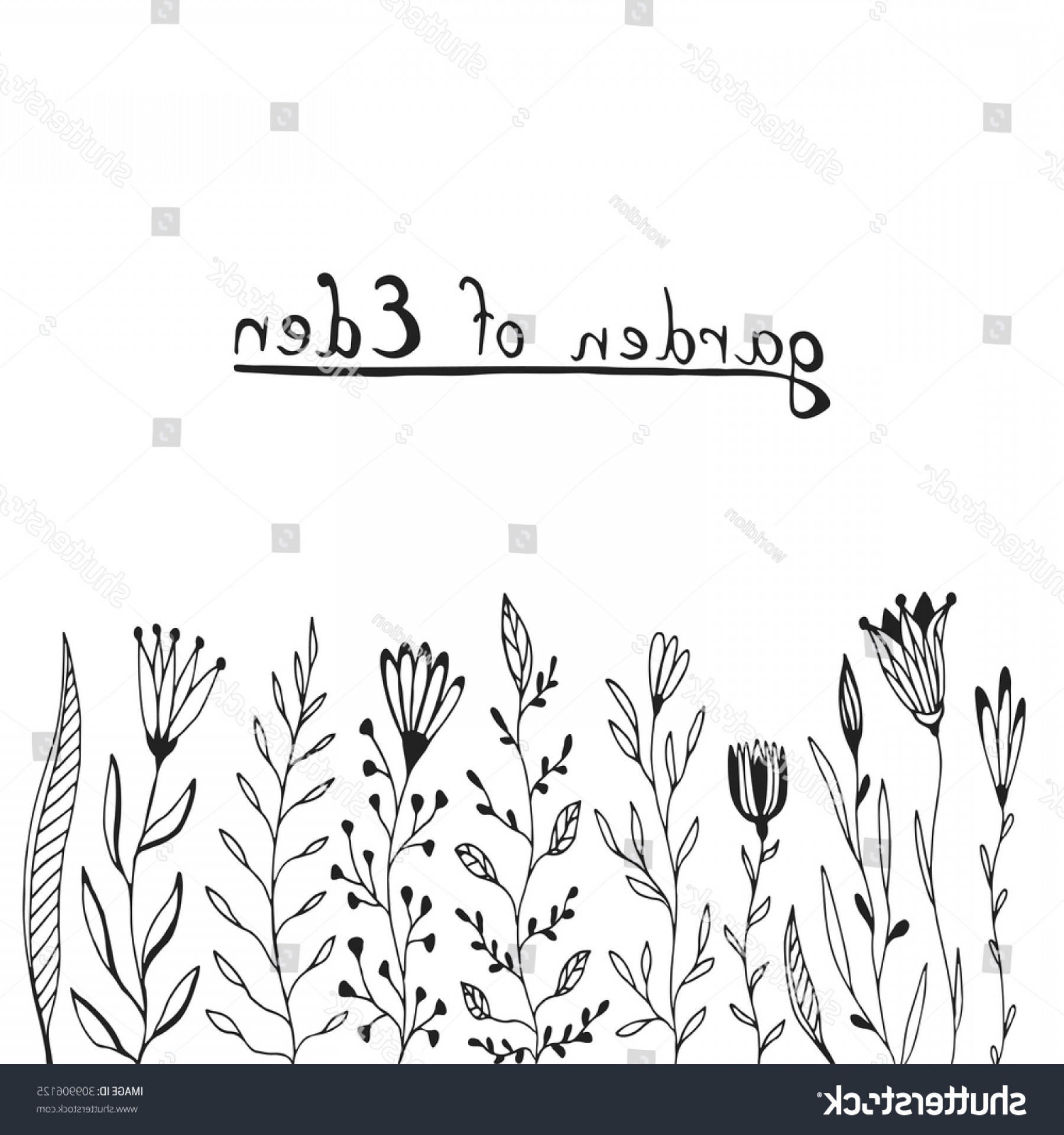 Hand Drawn Flower Border Vector Set Soidergi 1800x1920 Hand Drawn Flower Border Vector Set Soidergi