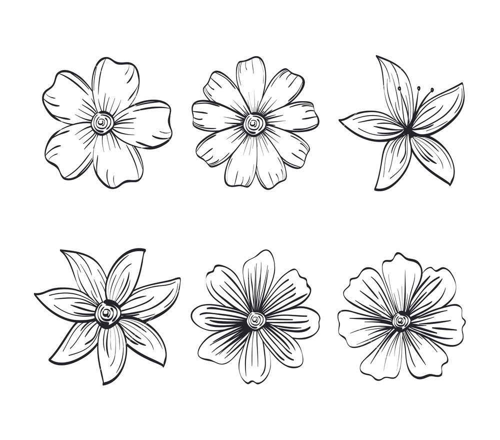 Rustic Flower Vector at Vectorified.com | Collection of Rustic Flower