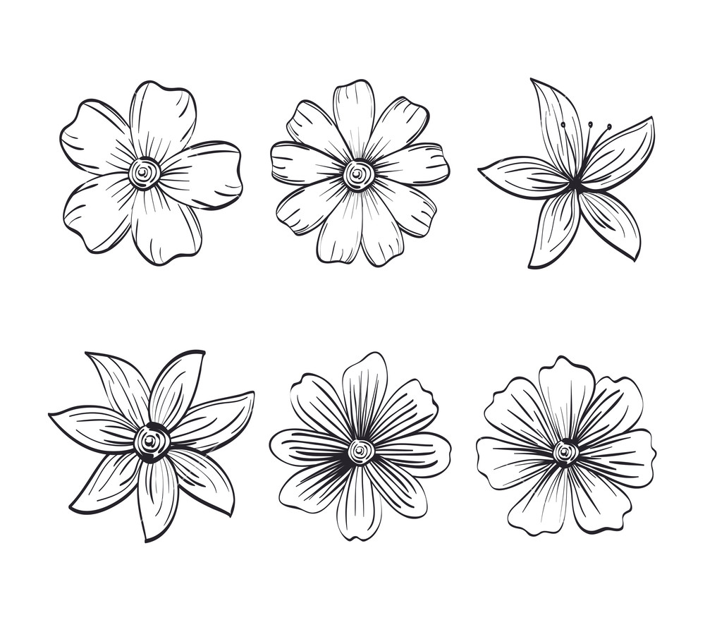 Rustic Flower Vector at Vectorified.com | Collection of Rustic Flower ...