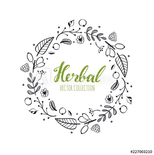 497x500 Rustic Vector Decorative Plants And Flowers Wreath