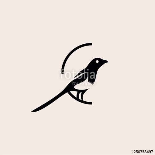 500x500 Magpie Bird Logo Vector Illustration Stock Image And Royalty Free