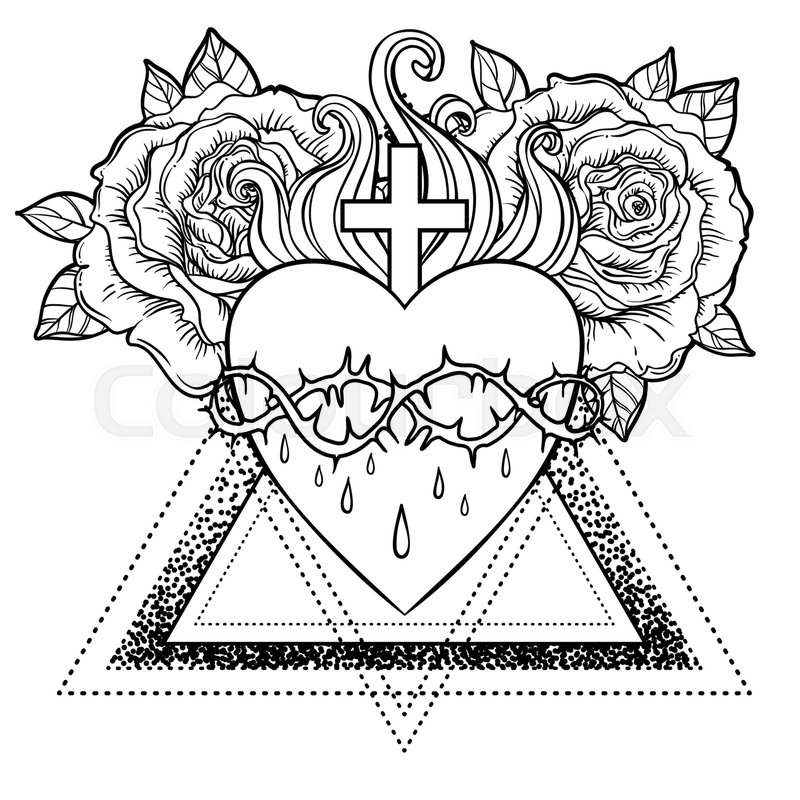 800x800 Sacred Heart Of Jesus Vector Stock Vector Colourbox