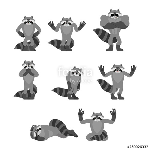 500x500 Raccoon Set Poses Racoon Happy And Yoga Coon Sleeping And Angry