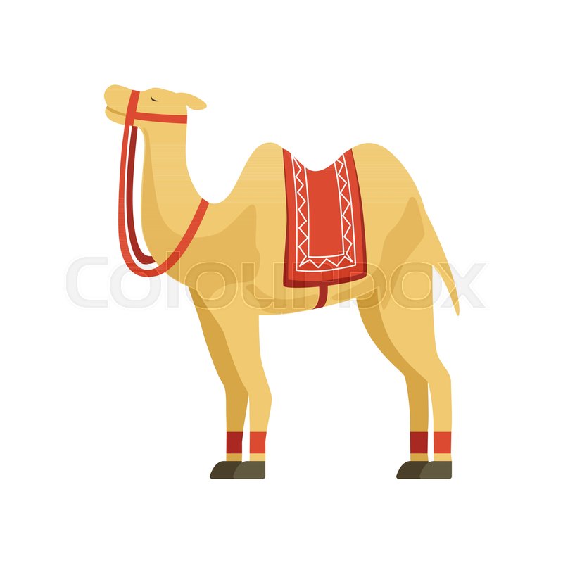 800x800 Camel Whit Saddle And Cover On The Stock Vector Colourbox
