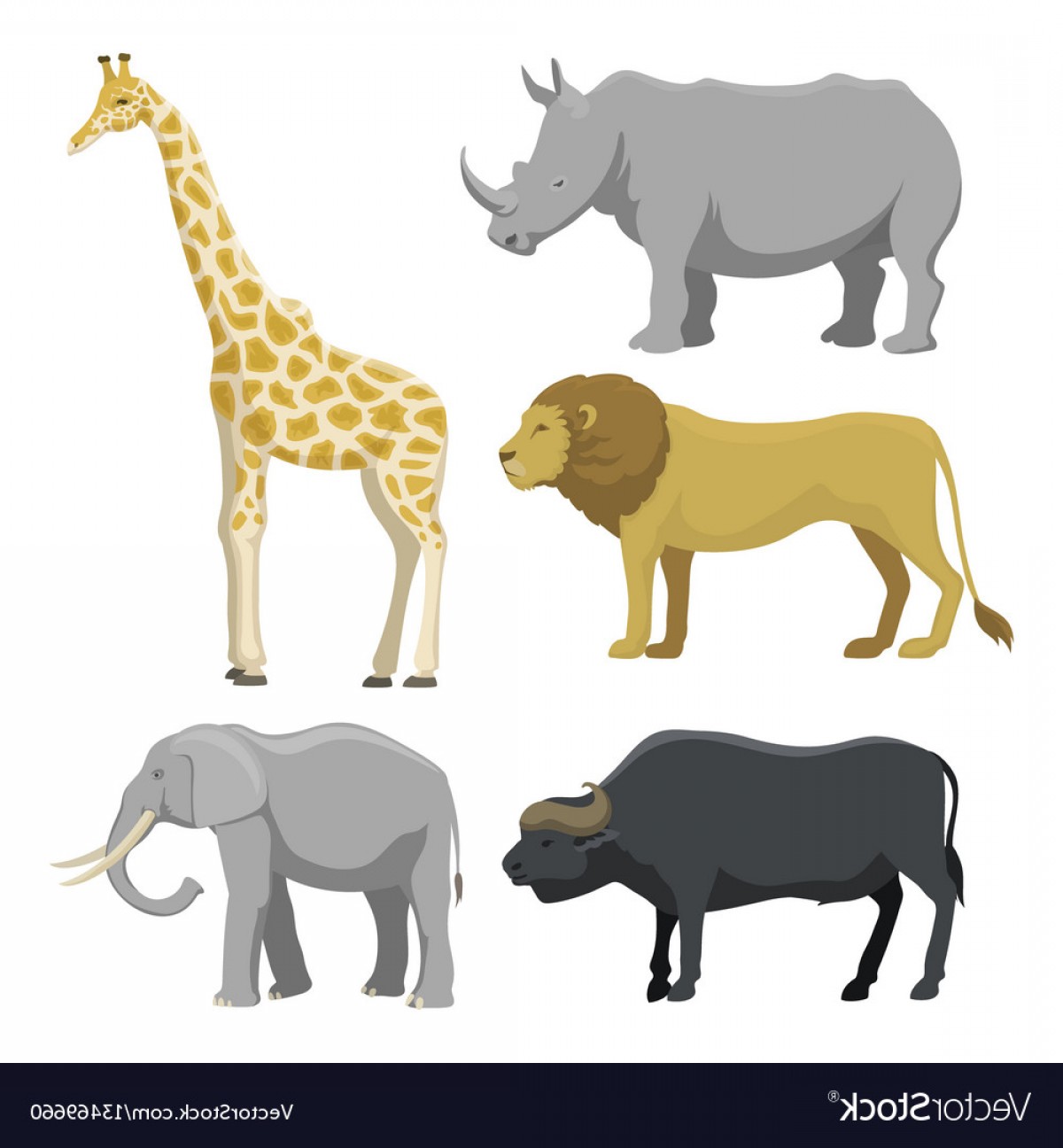 1200x1296 Safari Animals Vector Catamart
