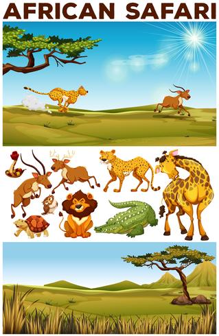 319x490 Safari Vectors Free Vector Graphics Everypixel