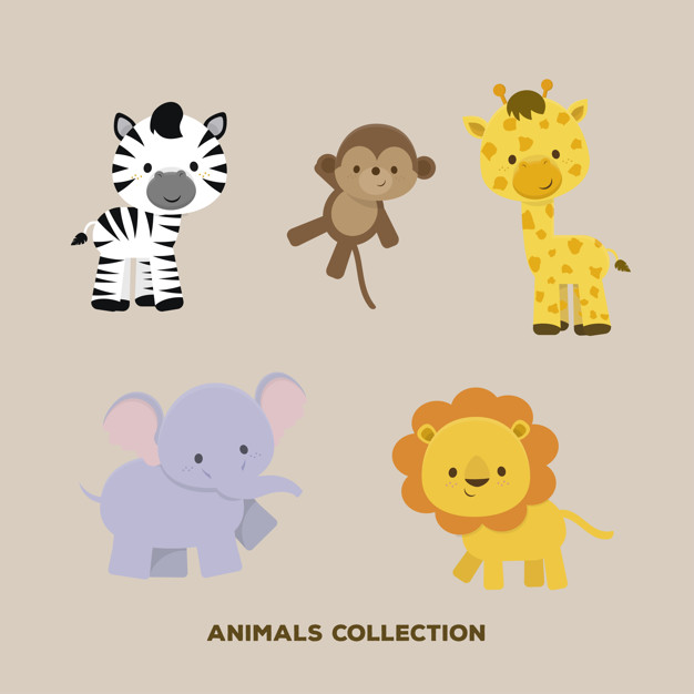 626x626 Animals Safari Collection Vector Premium Download