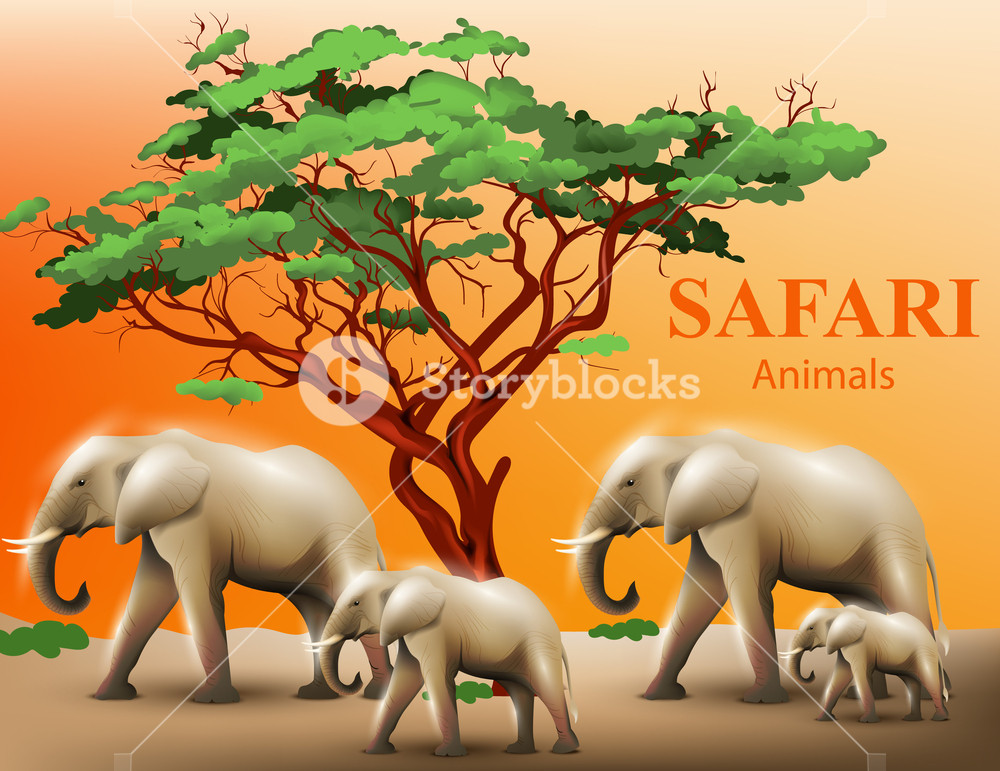 1000x771 Elephants Safari Background Vector Illustration Wildlife Template