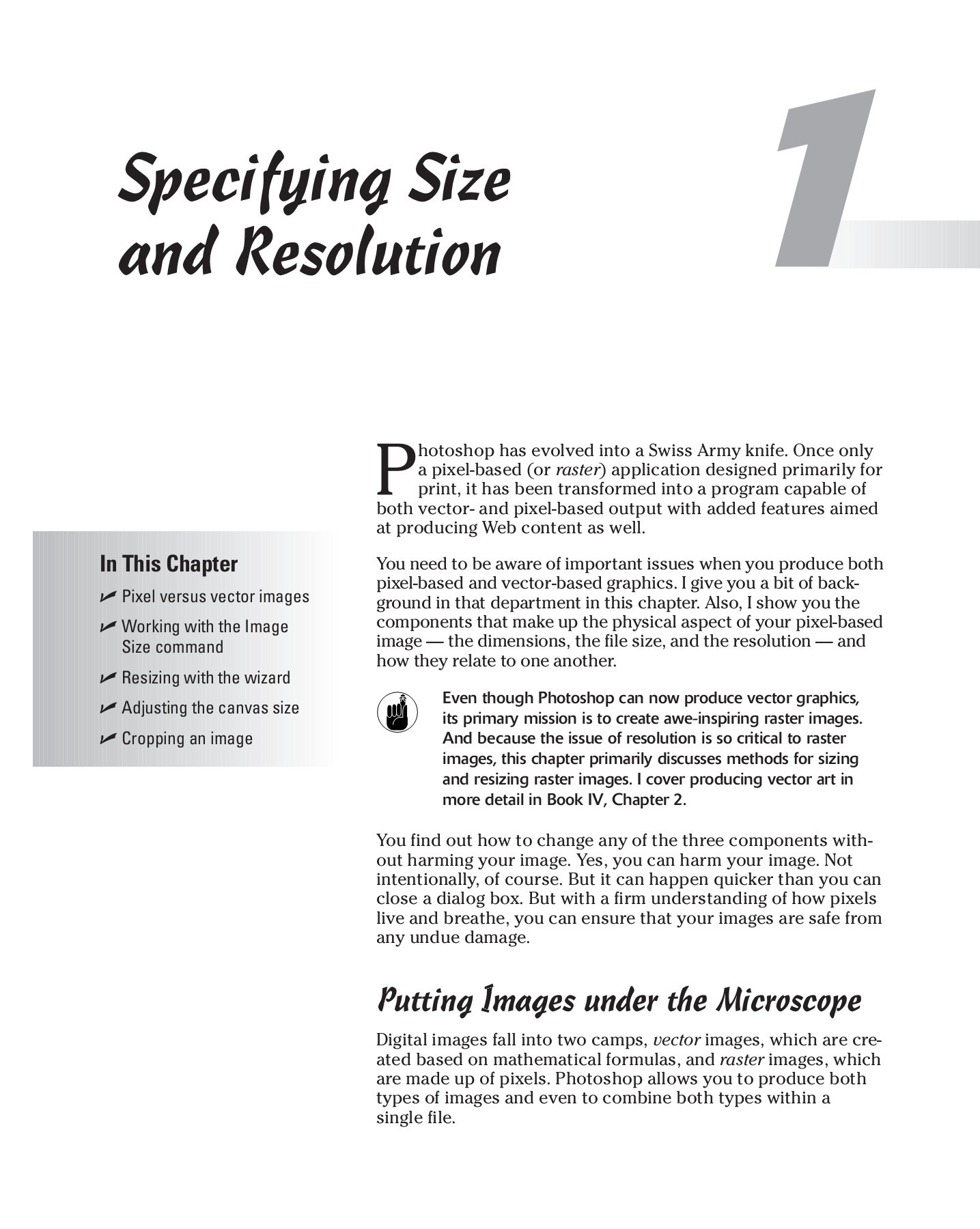 Safe handling instructions vector at vectorified collection of
