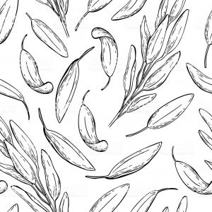 300x300 Catchsplace Vector Graphics Illustrator