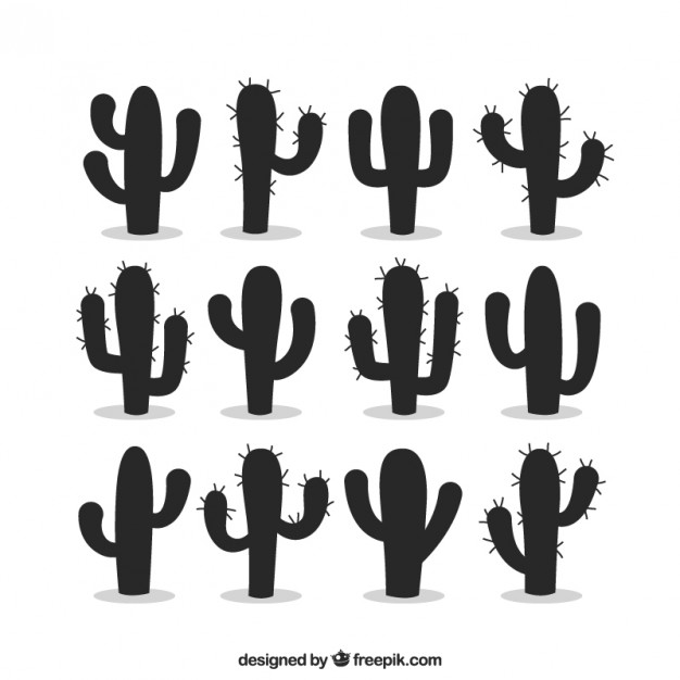 Cactus Vectors, Photos And Free Download 626x626 Cactus Vectors, Photos And Free Download