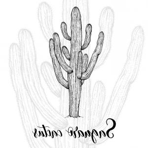 Hand Drawn Saguaro Cactus Vector Hoodamathrun 300x300 Hand Drawn Saguaro Cactus Vector Hoodamathrun
