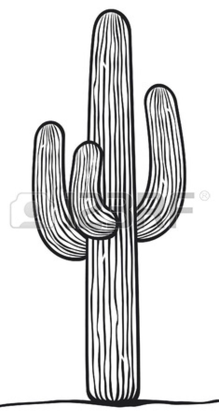 Image Result For Saguaro Cactus Sketch Drawing Cactus Drawing 705x1350 Image Result For Saguaro Cactus Sketch Drawing Cactus Drawing