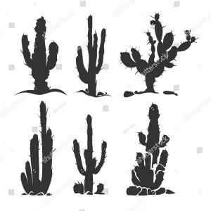 Black Silhouettes Of Saguaro Cactus Soidergi 300x300 Black Silhouettes Of Saguaro Cactus Soidergi