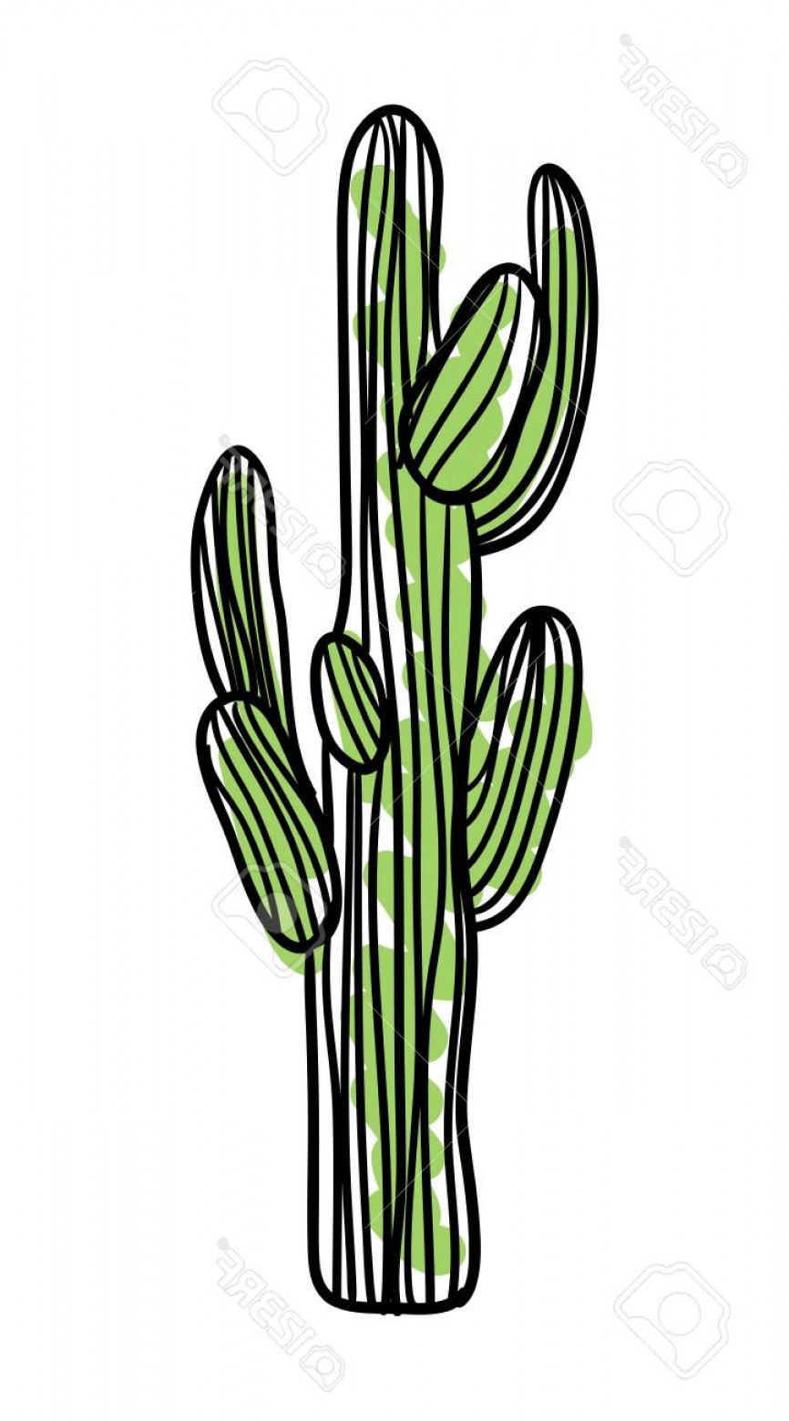 Photostock Vector Green Saguaro Cactus Hand Drawn Icon Hoodamathrun 866x1560 Photostock Vector Green Saguaro Cactus Hand Drawn Icon Hoodamathrun