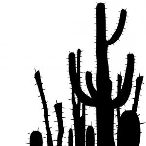 Saguaro Cactus Black And White Background Vector Newwaysys 300x300 Saguaro Cactus Black And White Background Vector Newwaysys
