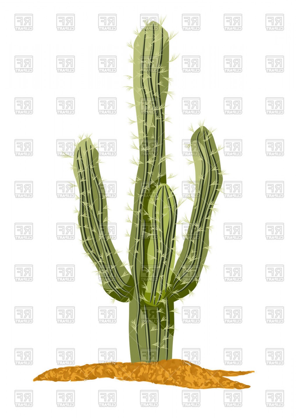 Saguaro Cactus Isolated On A White Background Vector Clipart 1018x1440 Saguaro Cactus Isolated On A White Background Vector Clipart