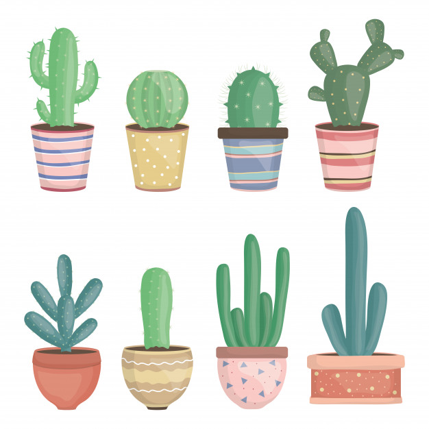 Saguaro Cactus Vectors, Photos And Free Download 626x626 Saguaro Cactus Vectors, Photos And Free Download