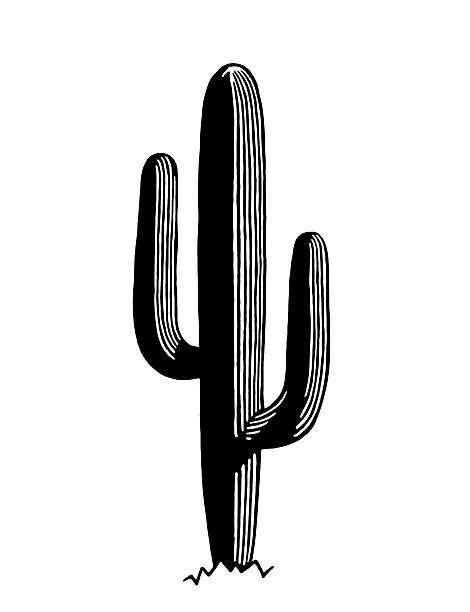 Saguaro Cactus Vector Art Illustration Mural Ideas 470x612 Saguaro Cactus Vector Art Illustration Mural Ideas