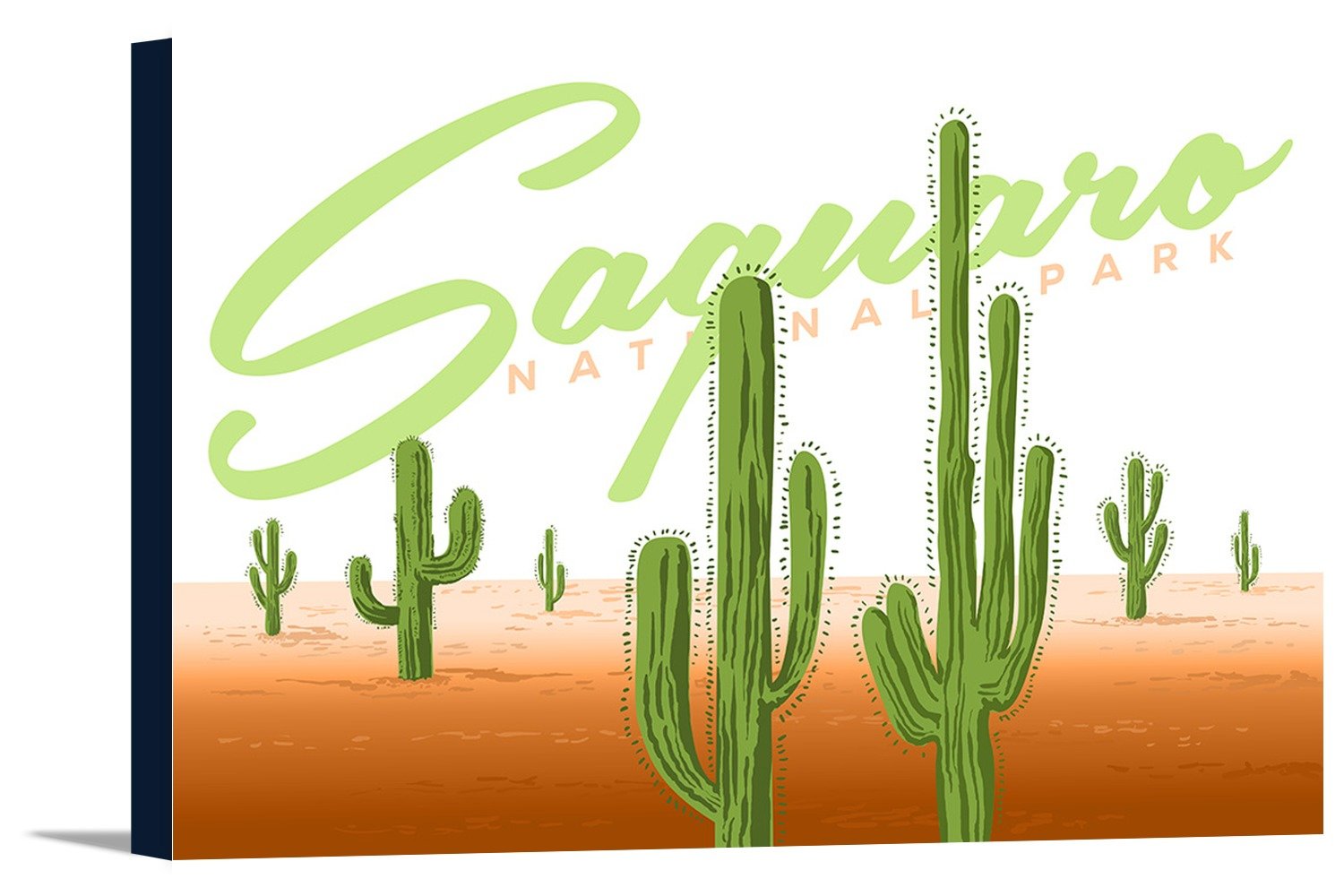 Saguaro National Park, Arizona 1500x1000 Saguaro National Park, Arizona