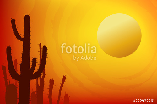 Sunset With Saguaro Cactus Summer Vector Background Stock Image 500x334 Sunset With Saguaro Cactus Summer Vector Background Stock Image