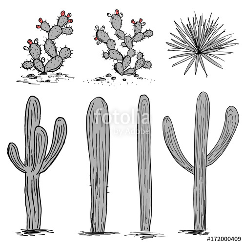 Cacti Group Prickly Pear Cactus, Blue Agaves, And Saguaro Hand 500x500 Cacti Group Prickly Pear Cactus, Blue Agaves, And Saguaro Hand