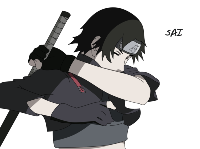 800x596 Download Free Png Transparent Sai Vector