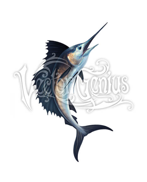 468x580 Sailfish Fishing Vector Genius Clip Art