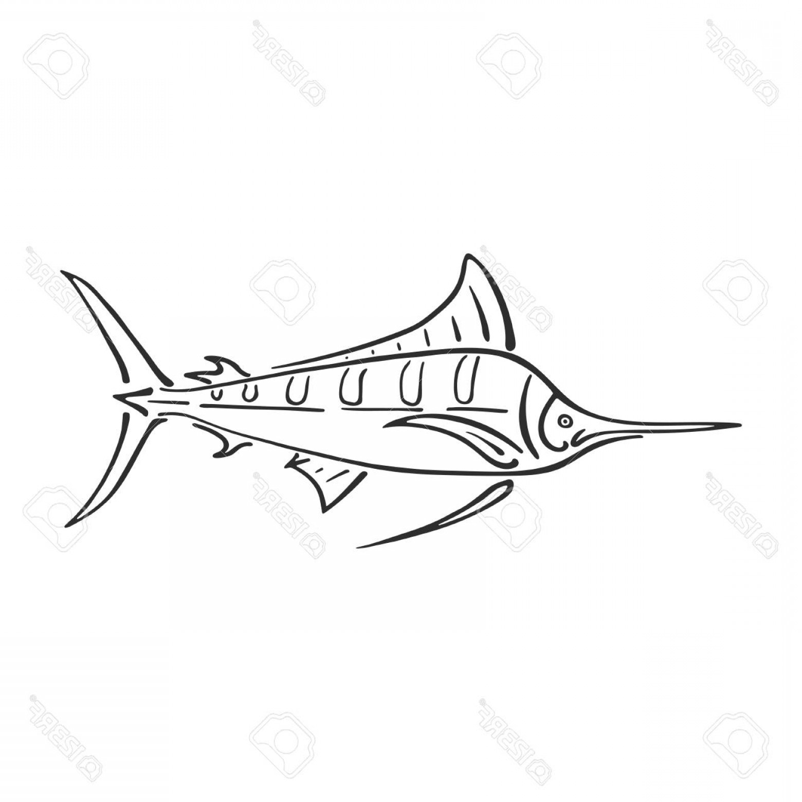 1560x1560 Sailfish Vector Art Designs Handandbeak