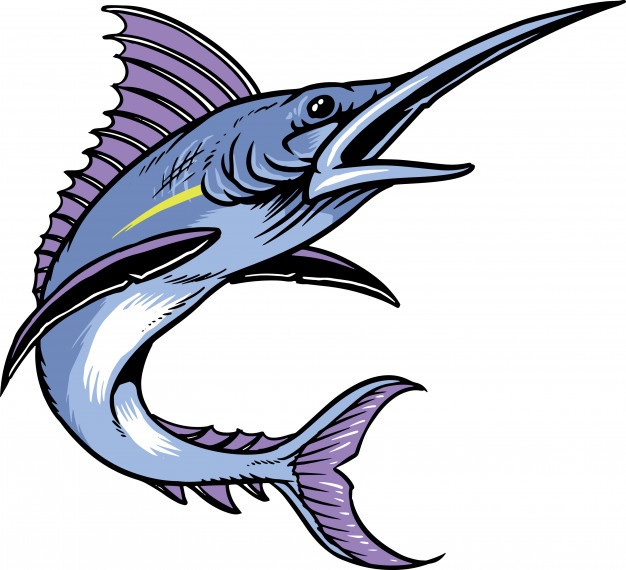 626x570 Sailfish Vectors, Photos And Free Download