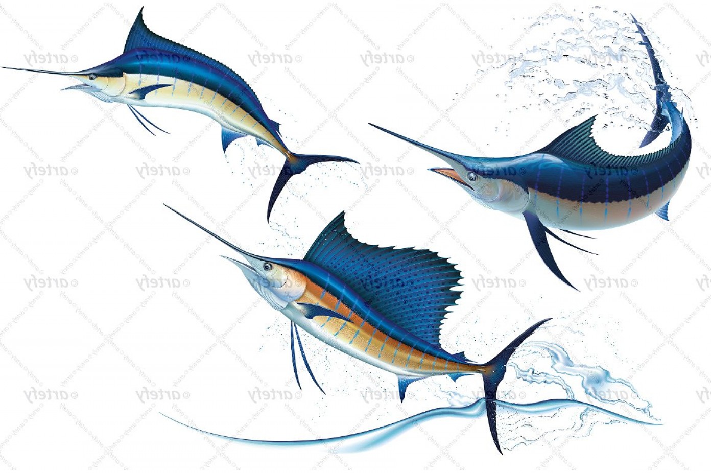 1392x926 Blue Marlin And Sailfish X Soidergi