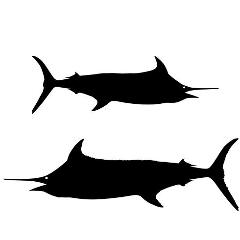490x490 Swordfish And Sailfish Vector