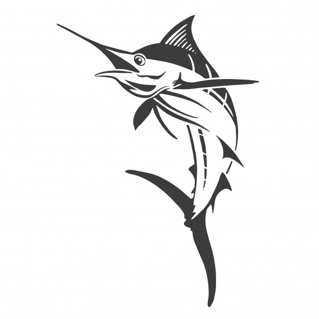 626x626 Hand Drawn Marlin Fish Jump Vector Premium Download