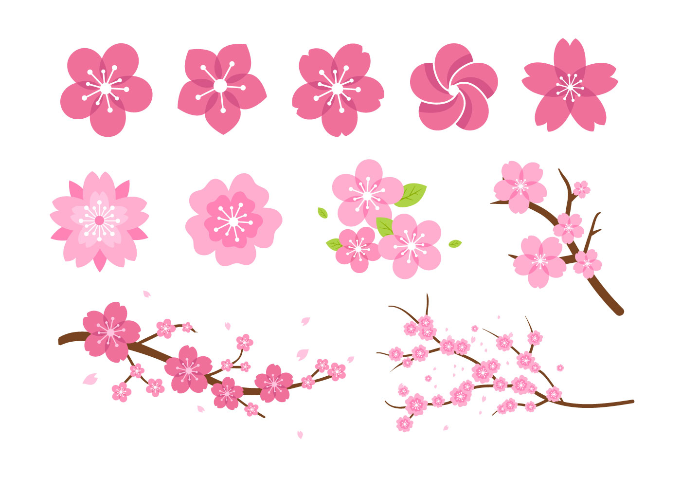  Sakura  Blossom Vector  at Vectorified com Collection of 