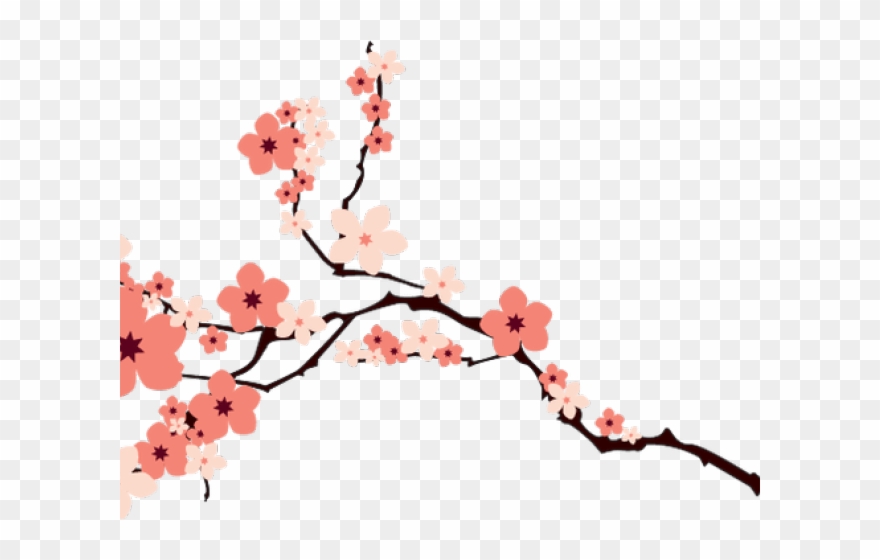 Cherry Blossom Clipart 880x560 Cherry Blossom Clipart