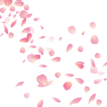 Cherry Blossom Png Images Vector And Free Download 360x360 Cherry Blossom Png Images Vector And Free Download