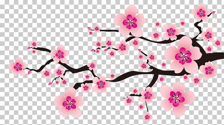 Flower Plum Blossom, Cherry Blossoms, Sakura Flowers Png Clipart 728x408 Flower Plum Blossom, Cherry Blossoms, Sakura Flowers Png Clipart
