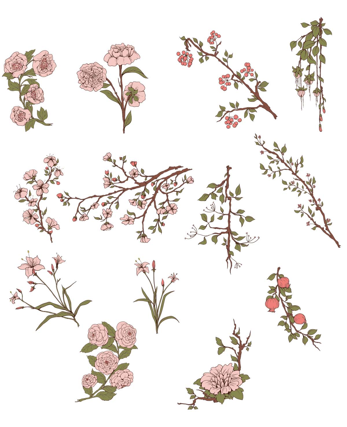 Japanese Sakura Flowers Set Vector Free Download 1200x1477 Japanese Sakura Flowers Set Vector Free Download