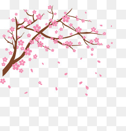 Sakura Flower Png Hd Transparent Sakura Flower Hd Images 260x270 Sakura Flower Png Hd Transparent Sakura Flower Hd Images