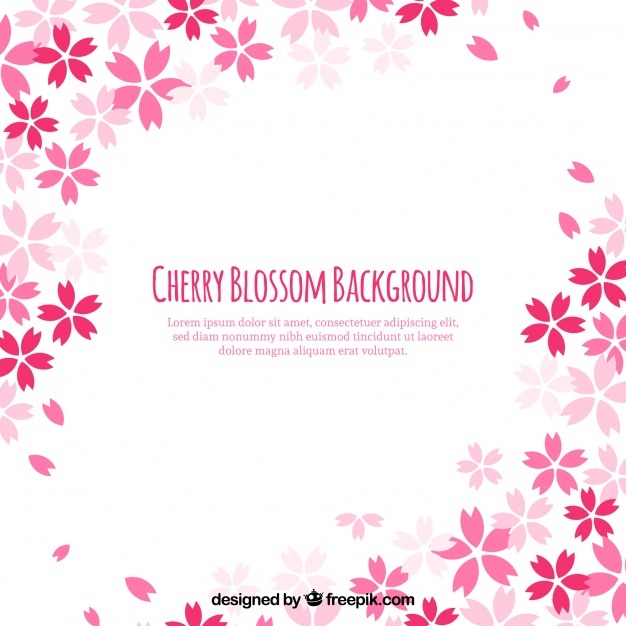Sakura Vectors, Photos And Free Download 626x626 Sakura Vectors, Photos And Free Download