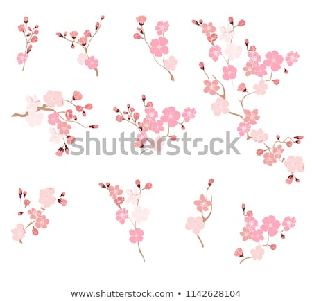 Unique Sakura Flower Vector Pattern Pack Download Free Vector 450x435 Unique Sakura Flower Vector Pattern Pack Download Free Vector