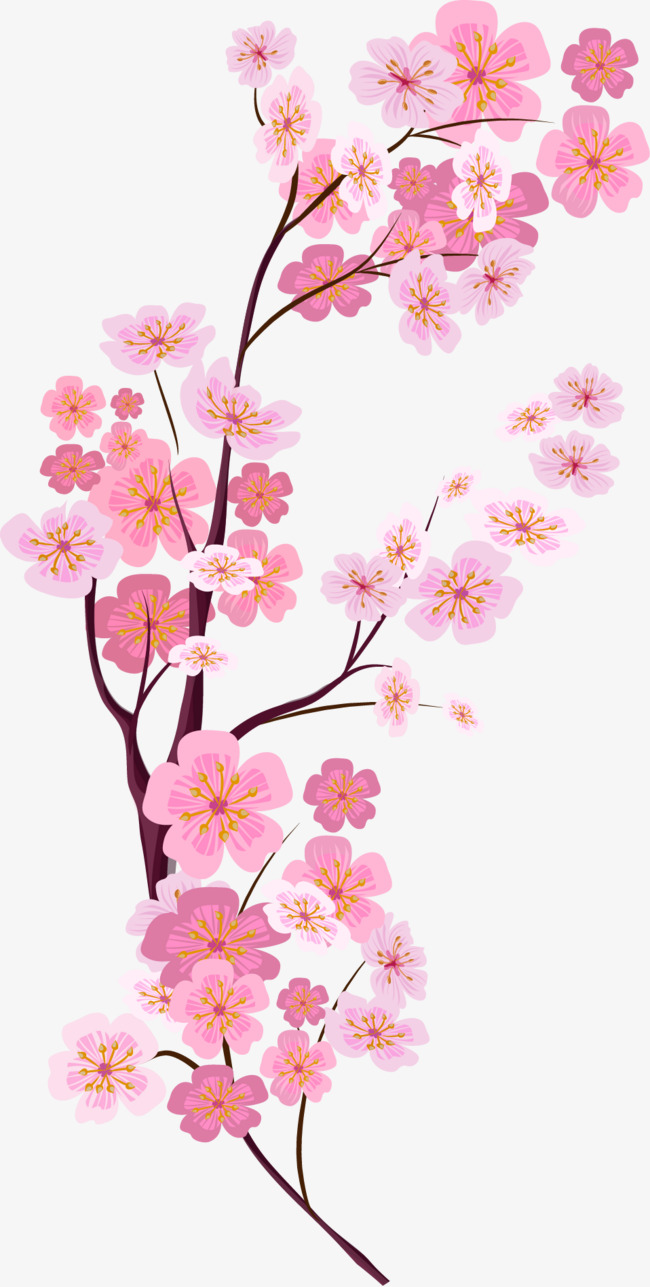 Vector Painted Pink Cherry Blossoms, Vector, Hand Painted, Pink 650x1287 Vector Painted Pink Cherry Blossoms, Vector, Hand Painted, Pink