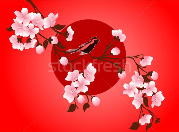 Cherry Blossom Art Picture Vector Sakura Flower Vector 600x441 Cherry Blossom Art Picture Vector Sakura Flower Vector