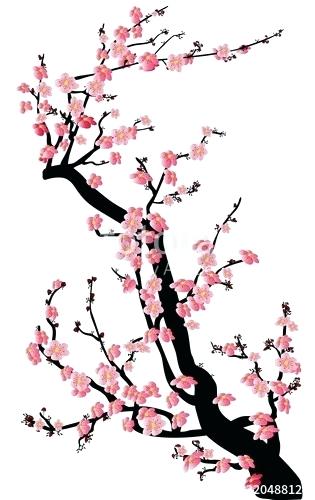 Sakura Flower Vector at Vectorified.com | Collection of Sakura Flower ...